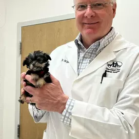 Bild von Cleveland Park Animal Hospital Greer