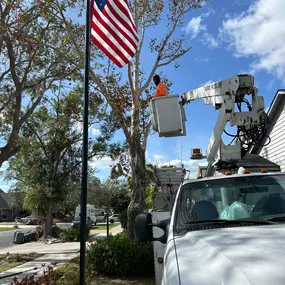 We do Trees Trimming and Removals