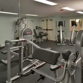 Health club  fitness center  gym