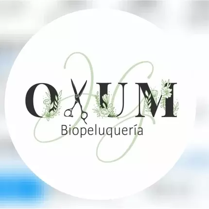 Logo von Peluquería Estética Oxum Salón Saludable