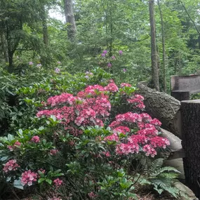 Bild von Impact Landscaping