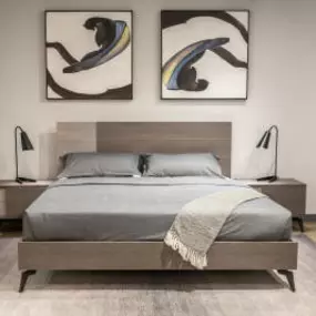 Modern Platform bed set