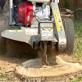 Image of stump grinding services in Shady Shores, TX