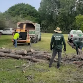 Image of lot clearing services in Shady Shores, TX