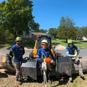 Image of the hardworking Empire Tree Service Team