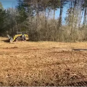 Image of Land Clearing services catering St. Mary's County, Charles County, and Calvert County, MD