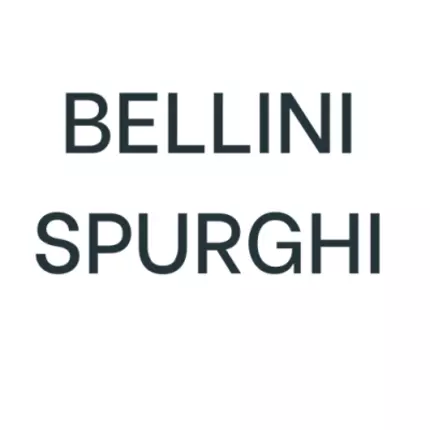 Logo von Bellini Spurghi