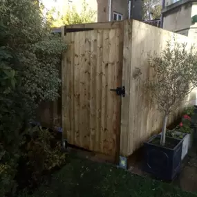 Bild von Sunflower Landscapes