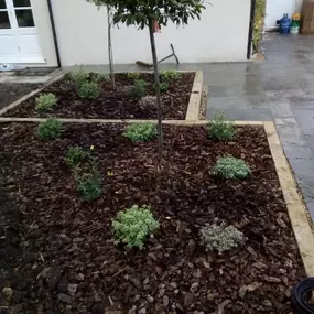 Bild von Sunflower Landscapes