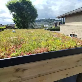 Bild von Sunflower Landscapes