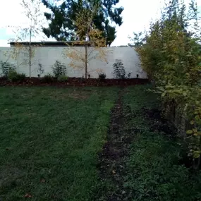 Bild von Sunflower Landscapes