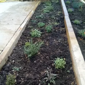 Bild von Sunflower Landscapes