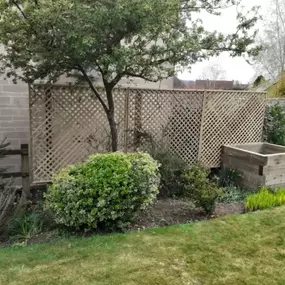 Bild von Sunflower Landscapes