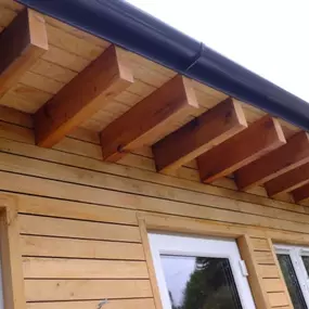 Bild von Sunflower Landscapes