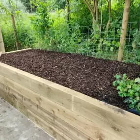 Bild von Sunflower Landscapes