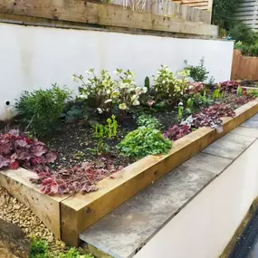 Bild von Sunflower Landscapes