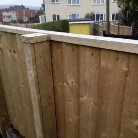 Bild von Sunflower Landscapes