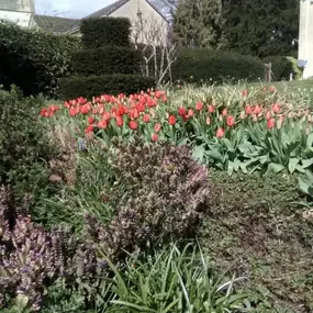 Bild von Sunflower Landscapes