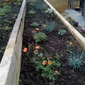 Bild von Sunflower Landscapes