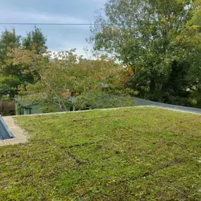 Bild von Sunflower Landscapes