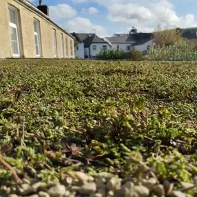 Bild von Sunflower Landscapes