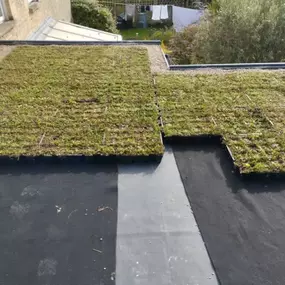 Bild von Sunflower Landscapes