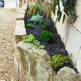 Bild von Sunflower Landscapes