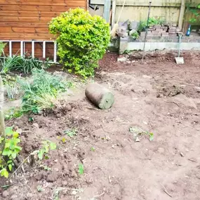 Bild von Sunflower Landscapes