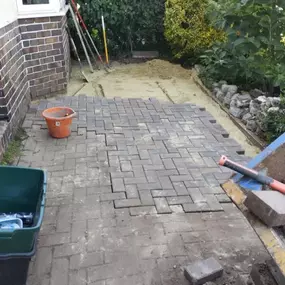 Bild von Sunflower Landscapes