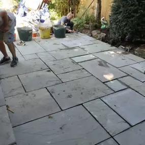 Bild von Sunflower Landscapes