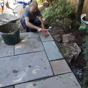 Bild von Sunflower Landscapes