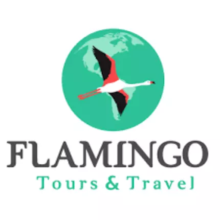 Logo da Flamingo Tours and Travel