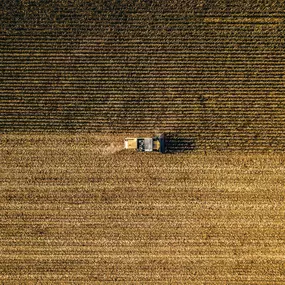 Bild von The Straw Barn