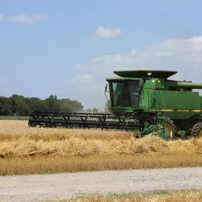 Bild von The Straw Barn