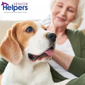 Bild von Senior Helpers