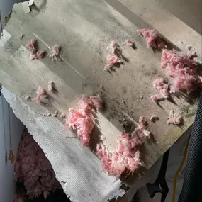 Bild von Voda Cleaning & Restoration