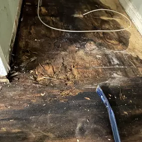 Bild von Voda Cleaning & Restoration
