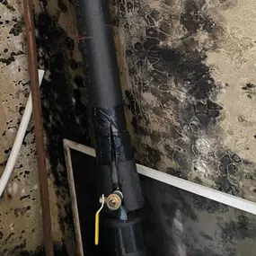 Bild von Voda Cleaning & Restoration