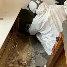 Bild von Voda Cleaning & Restoration