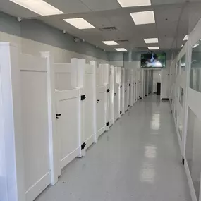 Bild von Select A Puppy, Inc.