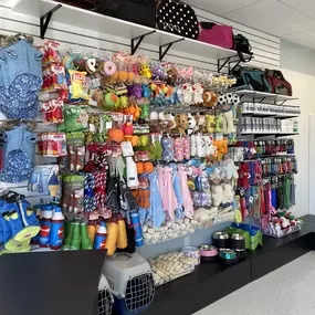 Bild von Select A Puppy, Inc.