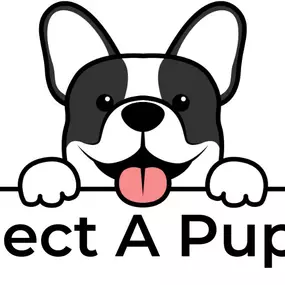 Bild von Select A Puppy, Inc.
