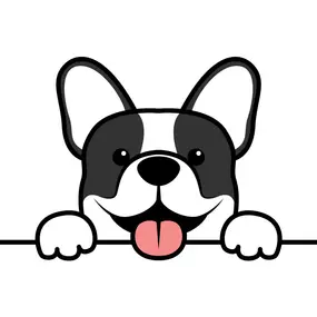 Bild von Select A Puppy, Inc.