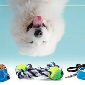 Bild von Select A Puppy, Inc.