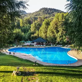 Bild von Amenity Pool Services - Dallas