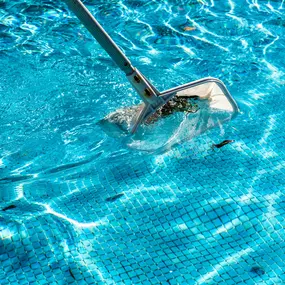 Bild von Amenity Pool Services - Dallas