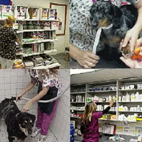 Bild von Gateway Animal Hospital