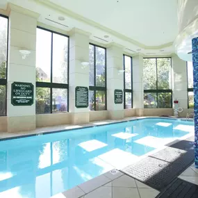 Swimming Pool Contractor