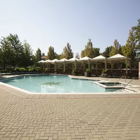 Swimmimg Pool Repair Service