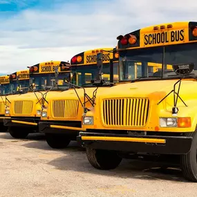 School Bus Transportation Ann Arbor, MI